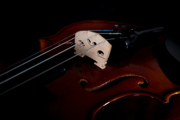 Violin music instrument of orchestra closeup isolated on black.Violin isolated on black. Classical...