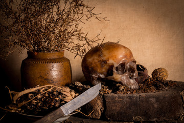 Human skull and flower vase old treasure on wooden table background, Still life concept