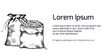 Horizontal banner with black and white illustrations of hand drawn canvas bags with grains.  Vector line art for menus, recipes, articles and your design.