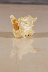 Human vertebrae that forms the spinal column