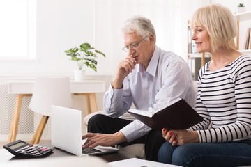 Elderly couple checking their bills on laptop