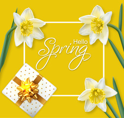 Spring narcissus flowers frame Vector realistic. Delicate card bouquet. Golden Gift box. Spring message texts