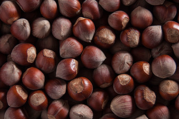 Fresh organic food. Healthy and healthy food. Health care and diet. View from above. Close-up.