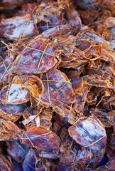 Dried squid. Phang Nga Bay, Andaman Sea, Thailand, Asia