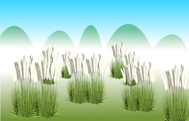 Obraz premium background with grass and flowers
