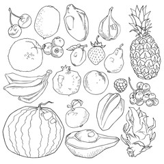 vector set of different hand drawn fruits