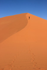 A male traveler in sportswear is standing on the orange sand of a dune in Sosusfle National Park, Namibia.