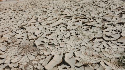 Dry land and cracked ground.