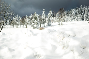 Winter landscape in mountanins 