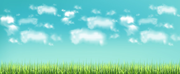Obraz na płótnie Canvas Green meadow and blue sky Vector realistic banner templates