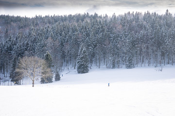 Winter landscape in mountanins 