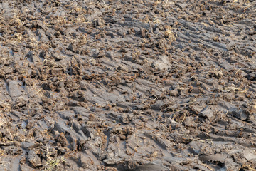 wet clod clay soil at the construction site ready to develop for real estate project. soil in the rice field ready to grow a new crop after tractor plowing. construction and agriculture concept.