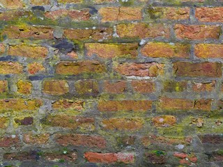 Fototapeta premium Brick Wall