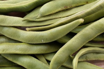 Fruits of a runner bean, Phaseolus coccineus