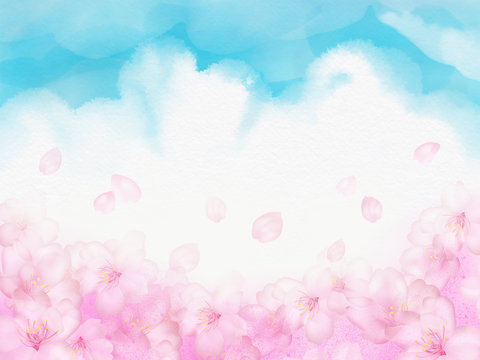 Fototapeta 水彩の空と桜