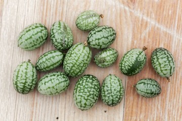 Fruits of a Mexican sour gherkin, Melothria scabra