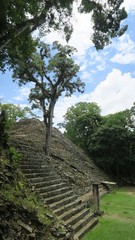 honduras copan ruinas mayan culture