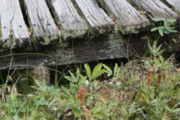 Schwarzes Moor in der Rhön