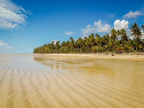 Beaches of Brazil - Bitingui Beach, Japaratinga - Alagoas state