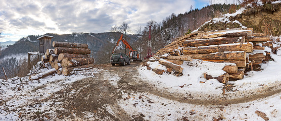 Timber harvesting with skyline crane and manipulator in winter mixed forest in low mountain range of the Styrian Alps. 