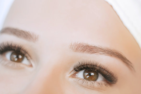 Close up view of beautiful brown female eye with long eyelashes, smooth healthy skin. Eyelash extension procedure. Perfect trendy eyebrows. Good vision, contact lenses. Eye health and care. 
