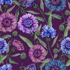 Beautiful Centaurea flowers with green leaves on purple background. Seamless floral pattern.  Watercolor painting. Hand painted botanical illustration