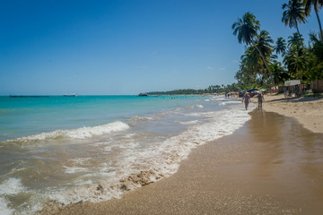 Beaches of Brazil - Bitingui Beach, Japaratinga - Alagoas state