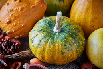 Variety of organic raw mini pumpkins on table