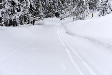 Groomed trail for cross country skiing. Winter landscape at early morning in Austria, Europe.