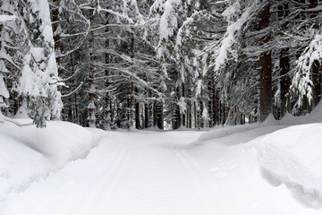 Groomed trail for cross country skiing. Winter landscape at early morning in Austria, Europe.