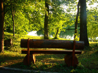 A sunlit wooden bench on the waterside