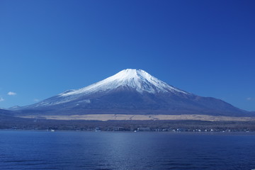 Fototapeta premium 富士山と河口湖