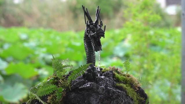 Dragon fountain at ueno temple