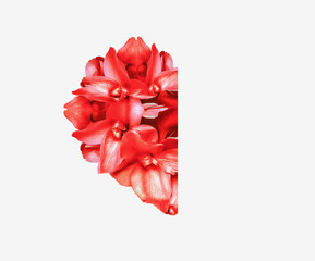 Background Love red flowers heart