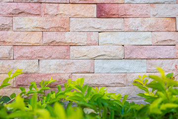 Brick wall empty space background ,Red old brick wall texture background image,Abstract web banner,Copy Space design