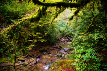 Fototapeta premium mountain river not far from the Orekhovsky waterfall, and Sochi.