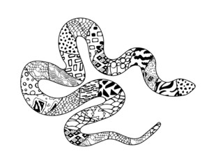 Vector hand drawn zen art python decorated with geometric ornaments isolated on white background. Black and white silhouette of snake with different patterns. Tattoo. Top view