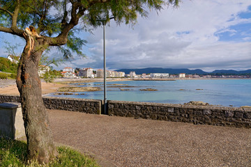 Bay of Saint-Jean-de-Luz with a Tamarix tree. Saint-Jean-de-Luz is a commune in the Pyrénées-Atlantiques department in south-western France