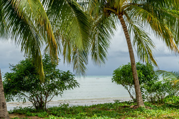 Beaches of Brazil - Bitingui Beach, Japaratinga - Alagoas state