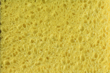 Texture of a yellow sponge