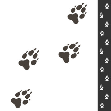 Wolf footprints. Vector illustration isolated on white. Wildlife design. Four wolf paws prints and sample of tracks.