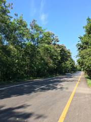 Beautiful local asphalt road way to the natural in rainy season with trees forest, blue sky and mountains in the backgrounds in the north of Thailand.