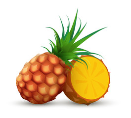 Whole pineapple with half sliced piece of ananas - Vector illustration on white background.