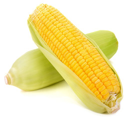 corn isolated on white background