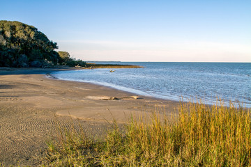 Aransas Wildlife Refuge