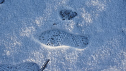 footprint,snow, winter, white, cold, ice, texture, nature, blue, frost, abstract, frozen, snowy, season, track, landscape, christmas, sky, weather, pattern, trace, mountain, 