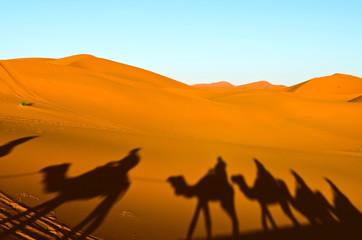 Fototapeta na wymiar view of caravan traveling and camels shadows on the sand dune in Sahara desert