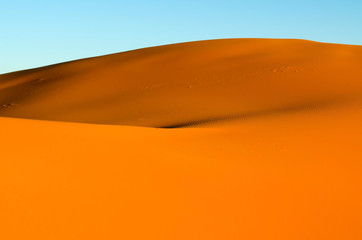 view of caravan traveling and camels shadows on the sand dune in Sahara desert