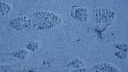 Spuren im Schnee,snow, winter, texture, white, cold, ice, blue, nature, abstract, pattern, frost, season, christmas, track, backgrounds, closeup, surface, frozen, crystal, trace, heart, 