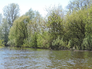 Spring  flood in the forest